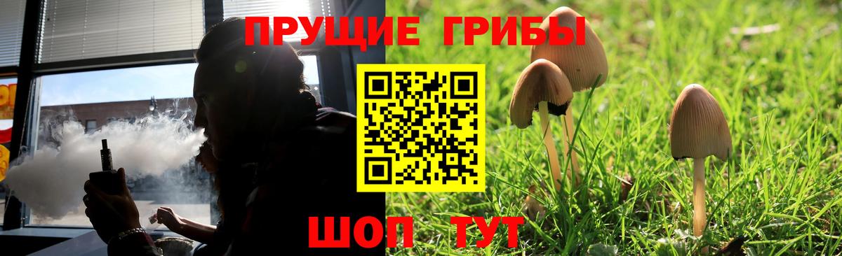 Ростов-на-Дону  Псилоцибиновые грибы Cubensis  Вход с VPN 